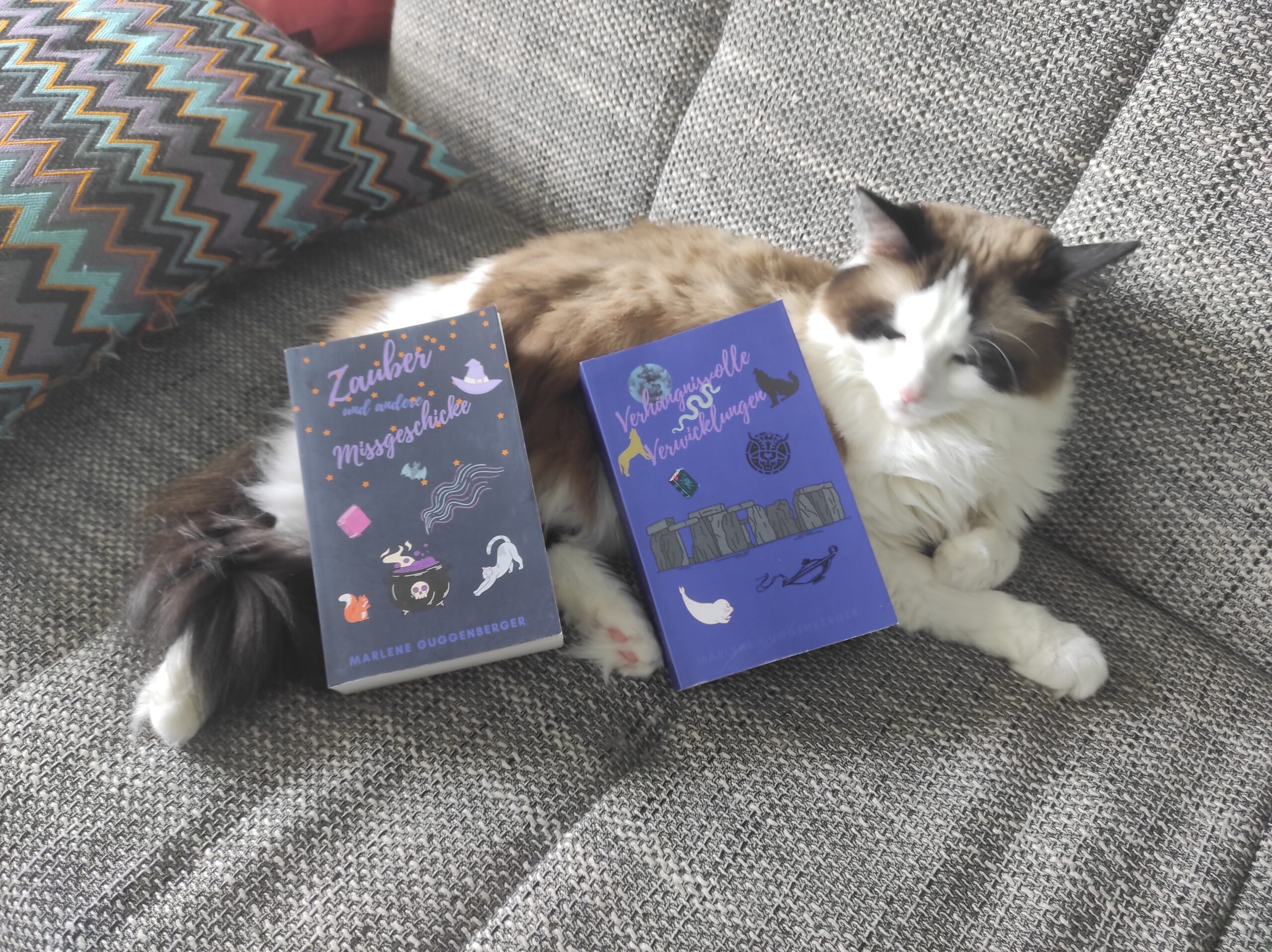 Die ersten beiden Bücher der Autorin Marlene Guggenberger liegen auf ihrer weiß und braun gemusterten Katze Ylvi