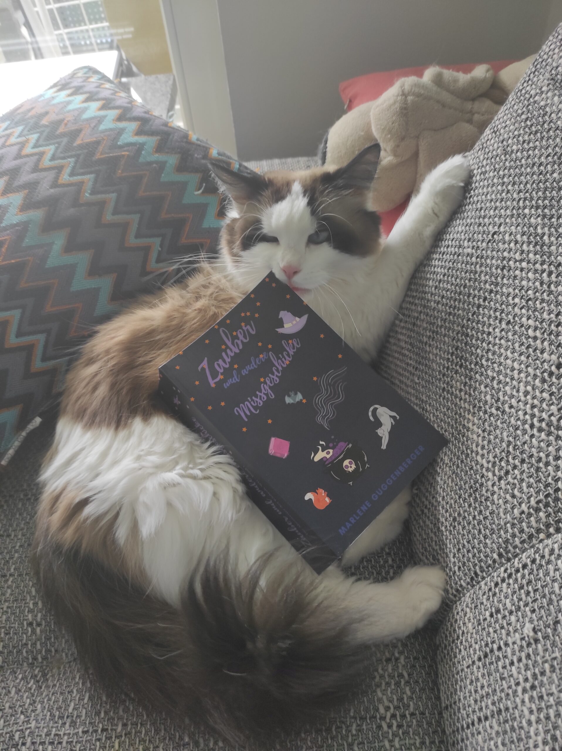 Das erste Buch "Zauber und andere Missgeschicke" der Autorin Marlene Guggenberger liegt auf ihrer weiß und braun gemusterten Katze Ylvi